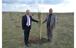 TEKİRDAĞ  / ERGENE 14 ARALIK 2017 SONBAHAR FİDAN DİKİMİ