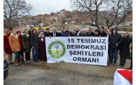 KÜTAHYA / TAVŞANLI 30 KASIM 2016 SONBAHAR FİDAN DİKİMİ