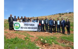 GAZİANTEP / YAVUZELİ 15 NİSAN 2019 TARİHİNDE  2000 ADET TOROS SEDİRİ VE KARAÇAM DİKİLMİŞTİR.