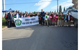 KOCAELİ / İZMİT 12 ARALIK 2017 FİDAN DİKİM