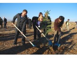 ANKARA\AKYURT 29 KASIM 2011  TARİHİNDE 11350 ADET TOROS SEDİRİ FİDANI DİKİLDİ.