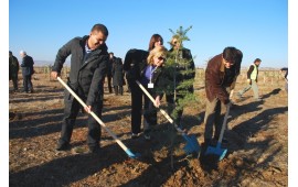 ANKARA\AKYURT 29 KASIM 2011  TARİHİNDE 11350 ADET TOROS SEDİRİ FİDANI DİKİLDİ.