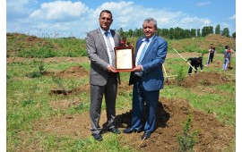 ANKARA\ AKYURT 16 MAYIS 2016 FİDAN DİKİMİ 