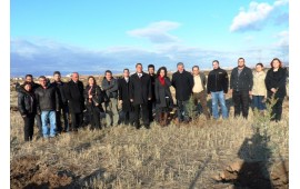 ANKARA\29 KASIM 2013 ANKARA AKYURT BALIKHİSAR MEVKİİNDE 4000 ADET TOROS SEDİRİ DİKİLDİ