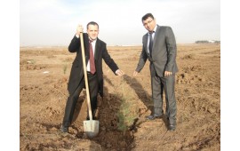 ANKARA / AKYURT 28 KASIM 2012 FİDAN DİKİMİ