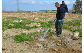 İZMİR / ALİAĞA MEVKİİ 19 NİSAN 2019 TARİHİNDE 1000 ADET ZEYTİN FİDANI DİKİLMİŞTİR.