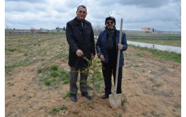 KONYA/ SARAYÖNÜ MEVKİİ 20 NİSAN 2019 TARİHİNDE 750 ADET TOROSSEDİRİ FDAN DİKİMİ GERÇEKLEŞMİŞTİR.