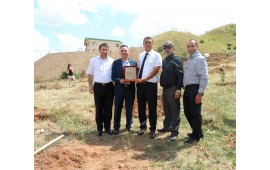 ANKARA\13 HAZİRAN 2013 ANKARA AKYURT GÜZELHİSAR MEVKİİNDE 8000 ADET TOROS SEDİRİ DİKİLDİ