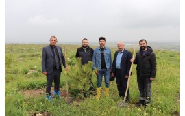 AFYON / NURİBEY MEVKİ'İNDE 30 MAYIS 2023'DE 1000 ADET KARAÇAM FİDANI DİKİLMİŞTİR. 