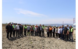 ÇANAKKALE / LAPSEKİ MEVKİ'İNDE 31 MAYIS 2023 TARİHİNDE 750 ADET IHLAMUR FİDANI DİKİLMİŞTİR.