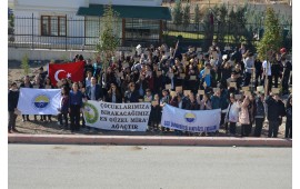 ANKARA / ÇANKAYA 03 KASIM 2017 FİDAN DİKİMİ