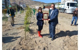 ÇANKAYA BEL. PARK VE BAHÇELER MÜDÜRÜ ZEYNEP ÖZ 