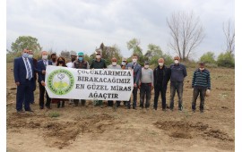 ANTALYA / SERİK 2021 İLKBAHAR FİDAN DİKİMİ 