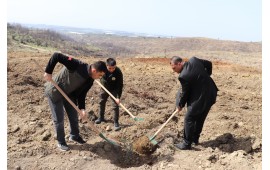 ANTALYA / MANAVGAT 2022 İLKBAHAR FİDAN DİKİMİ