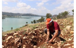 ANTALYA / MANAVGAT' TA  26 MAYIS 2023' DE 1000 ADET ZEYTİN FİDANI DİKİLMİŞTİR.