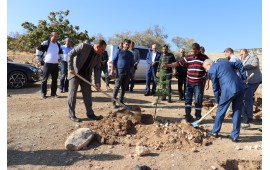 GAZİANTEP/ ARABAN MEVKİİ 2019'DA FİDAN DİKİMİ GERÇEKLEŞMİŞTİR.