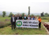 BALIKESİR / SUSURLUK MEVKİ 'İNDE 31 MAYIS 2023 TARİHİNDE 1000 ADET ZEYTİN FİDANI DİKİLMİŞTİR. 