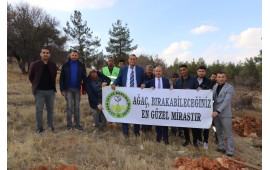 GAZİANTEP / OĞUZELİ 2021 SONBAHAR FİDAN DİKİİMİ