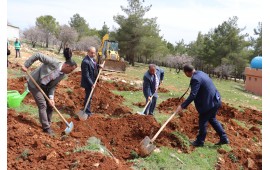 GAZİANTEP / OĞUZELİ 2022 İLKBAHAR FİDAN DİKİMİ 