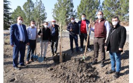 KAHRAMANMARAŞ/ TÜRKOĞLU 2020 SONBAHAR  FİDAN DİKİMİ 