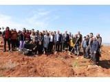 KAHRAMANMARAŞ / PAZARCIK 2022 İLKBAHAR FİDAN DİKİMİ 