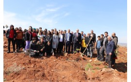 KAHRAMANMARAŞ / PAZARCIK 2022 İLKBAHAR FİDAN DİKİMİ 