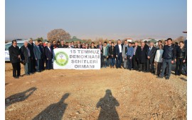 KARAMAN / 23 KASIM 2016 SONBAHAR FİDAN DİKİMİ