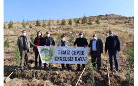 KAYSERİ / İNCESU 2020 SONBAHAR FİDAN DİKİMİ 