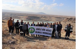 KAYSERİ / İNCESU 2021 SONBAHAR FİDAN DİKİMİ 