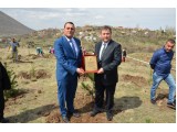 KAYSERİ/TALAS İLKBAHAR  2016 FİDAN DİKİMİ