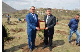 KAYSERİ/TALAS İLKBAHAR  2016 FİDAN DİKİMİ