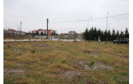 KIRKLARELİ / BÜYÜKKARIŞTIRAN 2021 SONBAHAR FİDAN DİKİMİ 