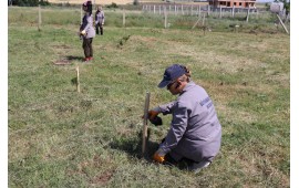 KIRKLARELİ / BÜYÜKKARIŞTIRAN MEVKİ'İNDE 01 HAZİRAN 2023 TARİHİNDE 500 ADET ZEYTİN FİDANI DİKİLMİŞTİR. 