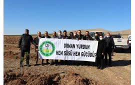 KIRŞEHİR / MUCUR 2021 SONBAHAR FİDAN DİKİMİ 