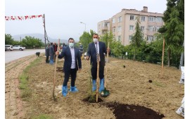 KOCAELİ / KÖRFEZ 2021 İLKBAHAR FİDAN DİKİMİ 