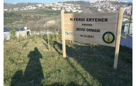 KOCAELİ /İZMİT 16 ARALIK 2017 SONBAHAR FİDAN DİKİMİ