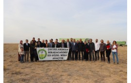KONYA / ALTINEKİN 2019 FİDAN DİKİMİ GERÇEKLEŞTİRİLMİŞTİR. 