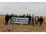 KONYA / ALTINEKİN 2020 SONBAHAR FİDAN DİKİMİ