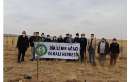 KONYA / ALTINEKİN 2020 SONBAHAR FİDAN DİKİMİ