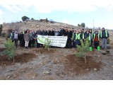 KÜTAHYA / TAVŞANLI 2022 SONBAHAR FİDAN DİKİMİ 