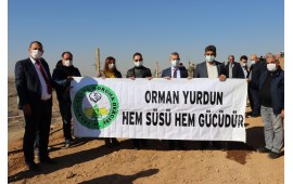 MALATYA / YEŞİLYURT 2020 SONBAHAR FİDAN DİKİMİ 