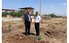 MANİSA / ŞEHZADELER BEL. PARK VE BAH. MDR. ERDOĞAN YAYLA 