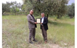 MANİSA / ŞEHZADELER BEL. PARK VE BAH. MDR. ERDOĞAN YAYLA 