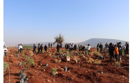 KAHRAMANMARAŞ / PAZARCIK 2021 SONBAHAR FİDAN DİKİMİ 