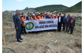 MERSİN / 2016 İLKBAHAR FİDAN DİKİMİ