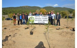 BİLECİK / OSMANELİ 14 KASIM 2017 FİDAN DİKİMİ