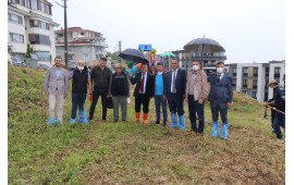 SAKARYA / SERDİVAN 2021 İLKBAHAR FİDAN DİKİMİ 