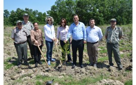 İSTANBUL 01 HAZİRAN 2016 FİDAN DİKİMİ