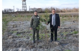 İSTANBUL  / SİLİVRİ 13 ARALIK 2017 SONBAHAR FİDAN DİKİMİ