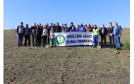 TEKİRDAĞ / ÇORLU 2022 SONBAHAR FİDAN DİKİMİ 